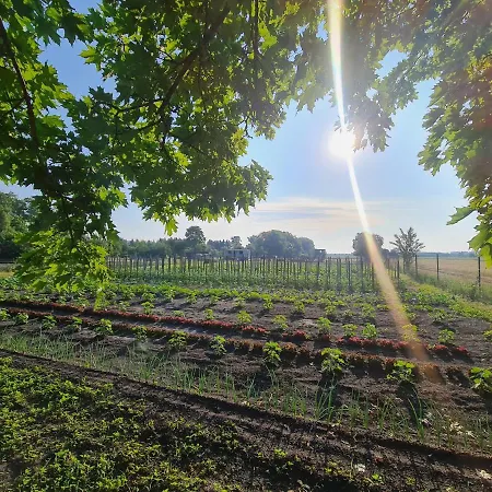 鲁内弗莱尔酒店 3* 佐森