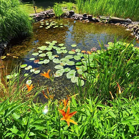 鲁内弗莱尔酒店 酒店