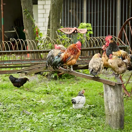 酒店 鲁内弗莱尔酒店