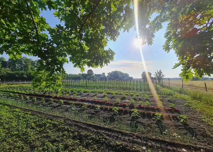 Flair Reuner 3* Zossen