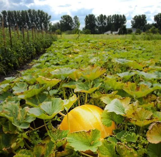 Otel Flair Reuner 3*